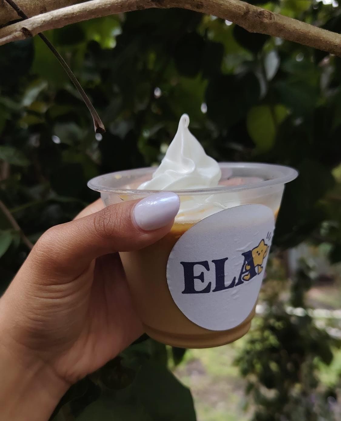 Flan de dulce de leche con merengue